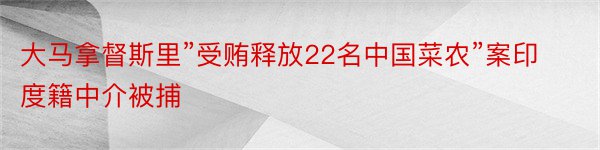 大马拿督斯里”受贿释放22名中国菜农”案印度籍中介被捕