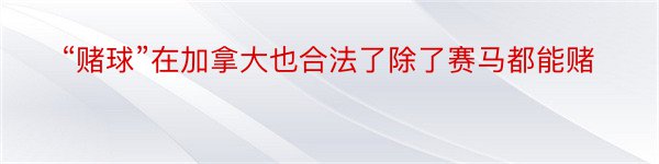 “赌球”在加拿大也合法了除了赛马都能赌